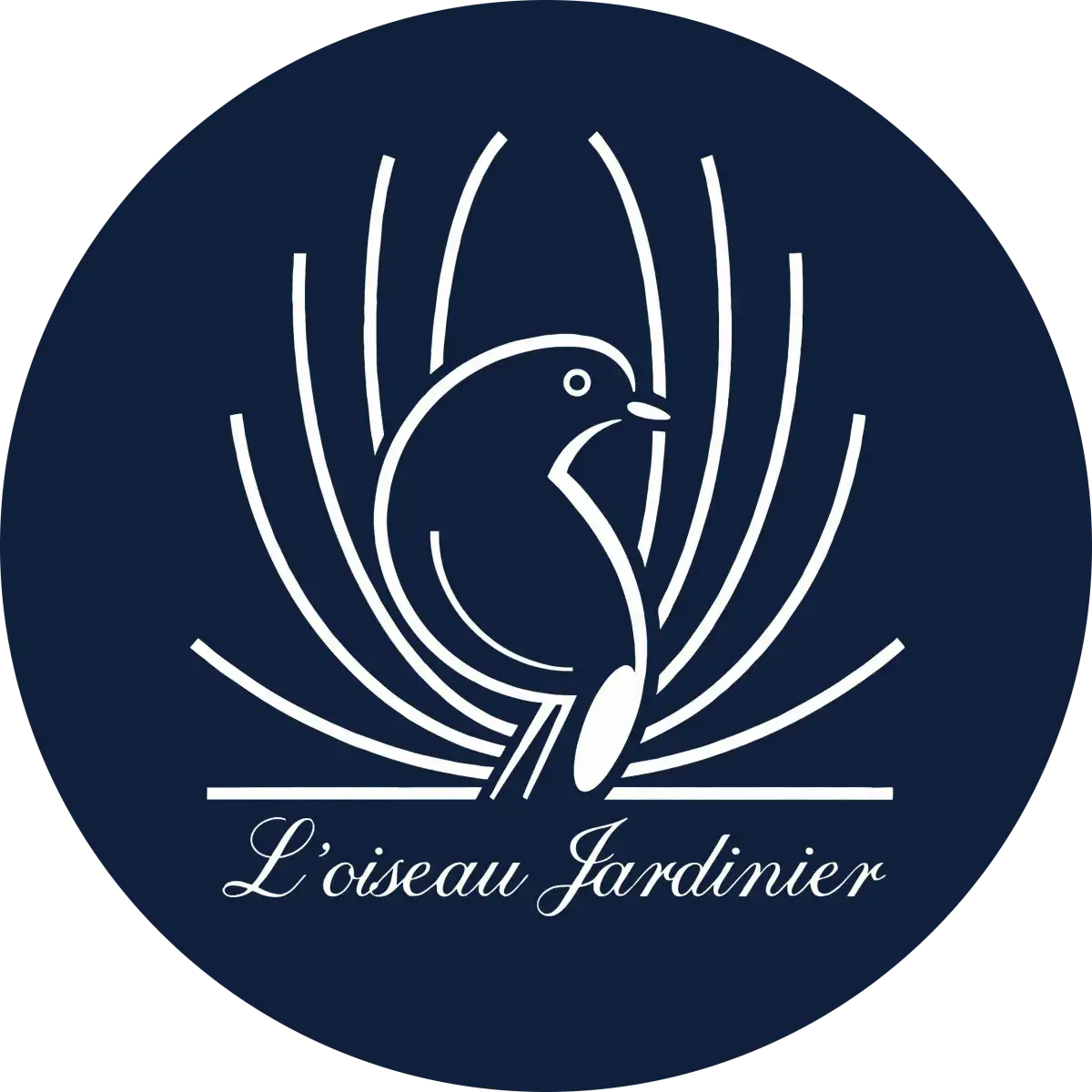 L'Oiseau Jardinier